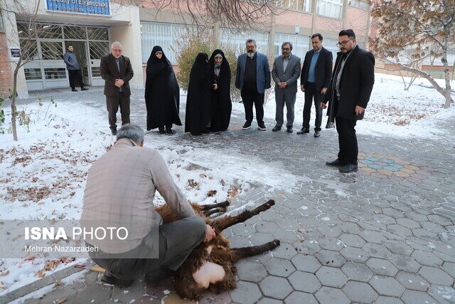 آغاز رسمی فیلمبرداری فیلم سینمایی «شهدای ۲۷ دی» دانشگاه تبریز