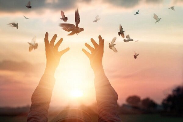 آزادی ۱۳ زندانی جرائم غیرعمد در قم