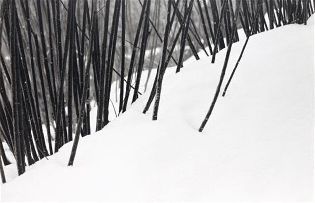 چرا عکس‌های کیارستمی معروف شدند؟