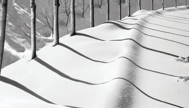 چرا عکس‌های کیارستمی معروف شدند؟