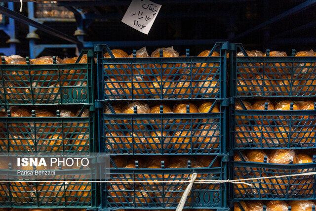 میوه شب عید دو برابر سال قبل ذخیره شد