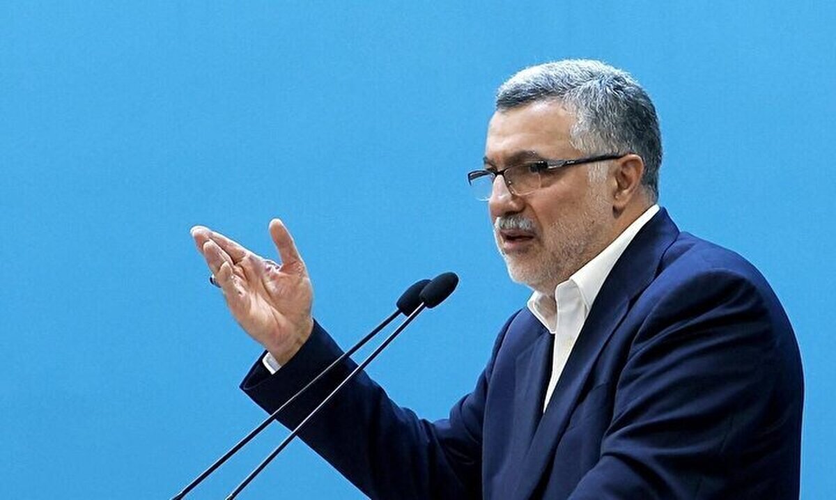 ظفرقندی: مددکاری اجتماعی یک تخصص است + فیلم