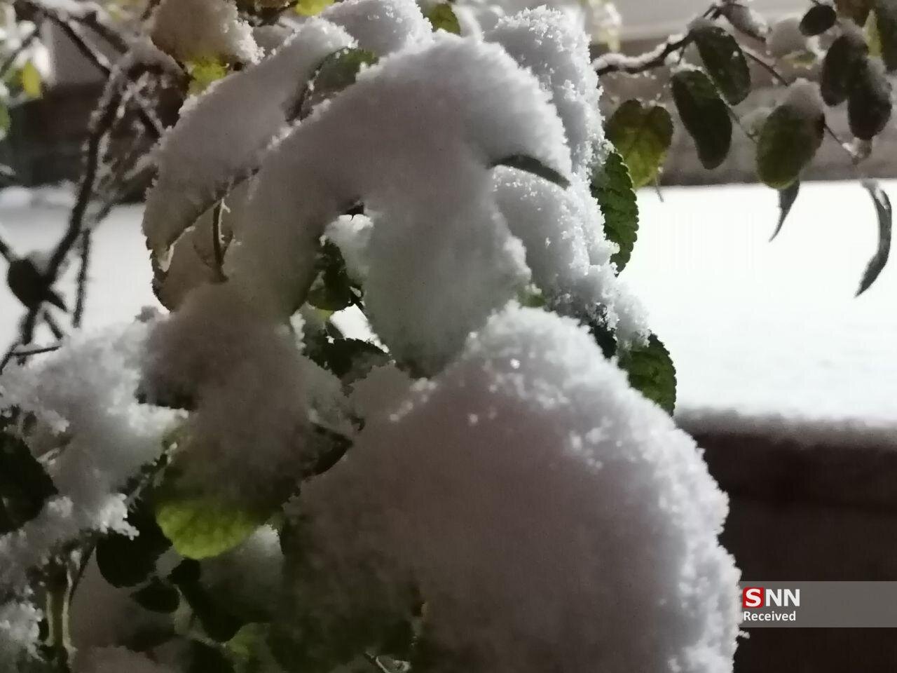 نخستین برف زمستانی بیرجند، شور و نشاط را به کوچهها و امید به مزارع آورد+ فیلم