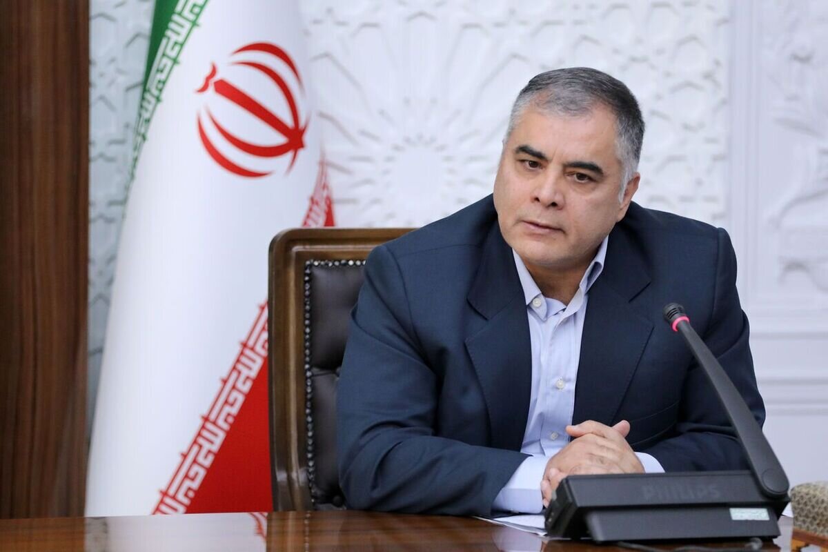 پاک نژاد:خط قرمز، قطعی گاز تجاری و خانگی است/ نقش کلیدی صنعت پتروشیمی در اقتصاد کشور