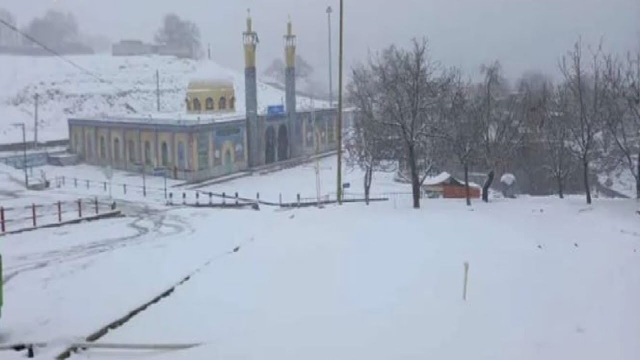 بارش برف در منطقه امام زاده عبدالله صیدون+فیلم
