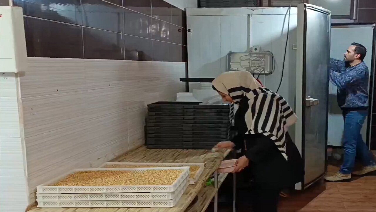 کارآفرینی بانوی مراغه ای با تولید پودر جوانه گندم