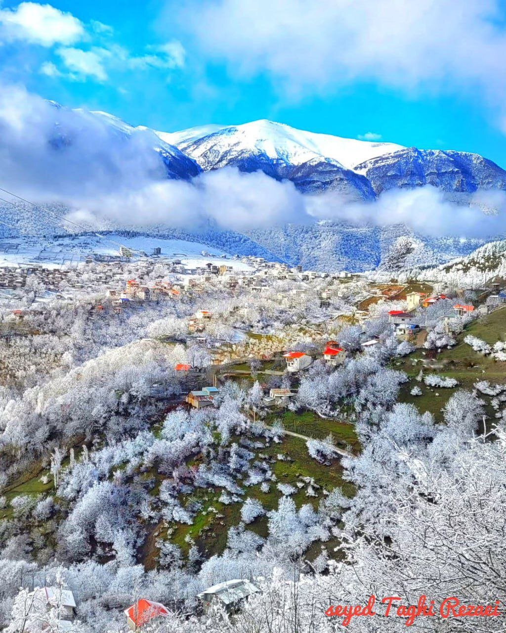 طبیعت زیبای جواهرده رامسر