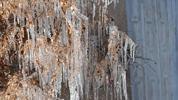 کاهش سرمای شدید در استان کرمانشاه