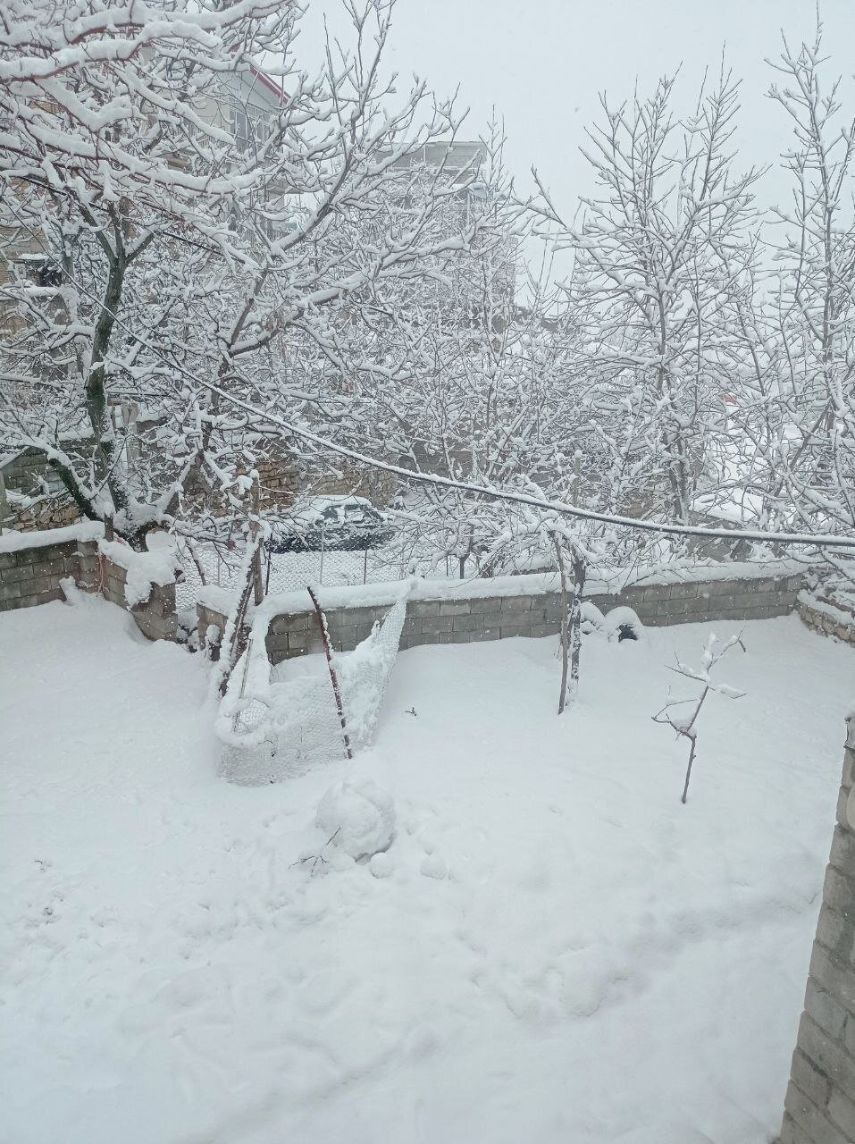 تصاویری از بارش برف سنگین در شهر بانه