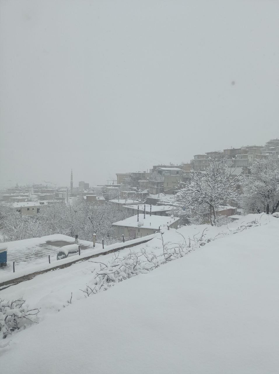 تصاویری از بارش برف سنگین در شهر بانه