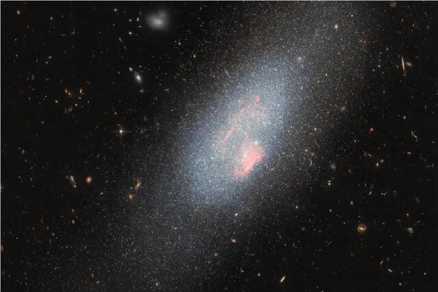 عکس روز ناسا از هم‌نشینی یک خرس با ستارگان بزرگ