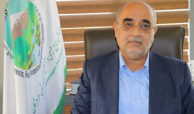 از ظرفیت آب خاکستری برای تولید نهال حرا استفاده می‌شود
