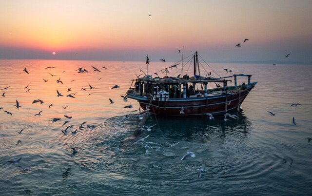 خلیج فارس و غرب تنگه هرمز مواج میشود