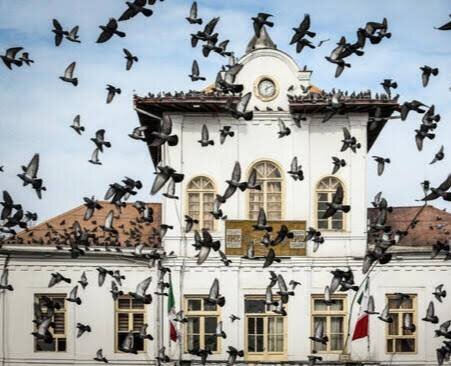 روزی به نام پایتخت گیلان؛ رشت شهر شب های روشن