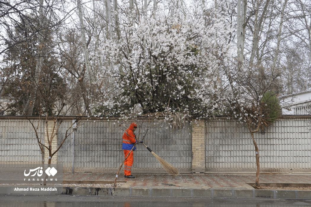 مردان سرزمینم ایران