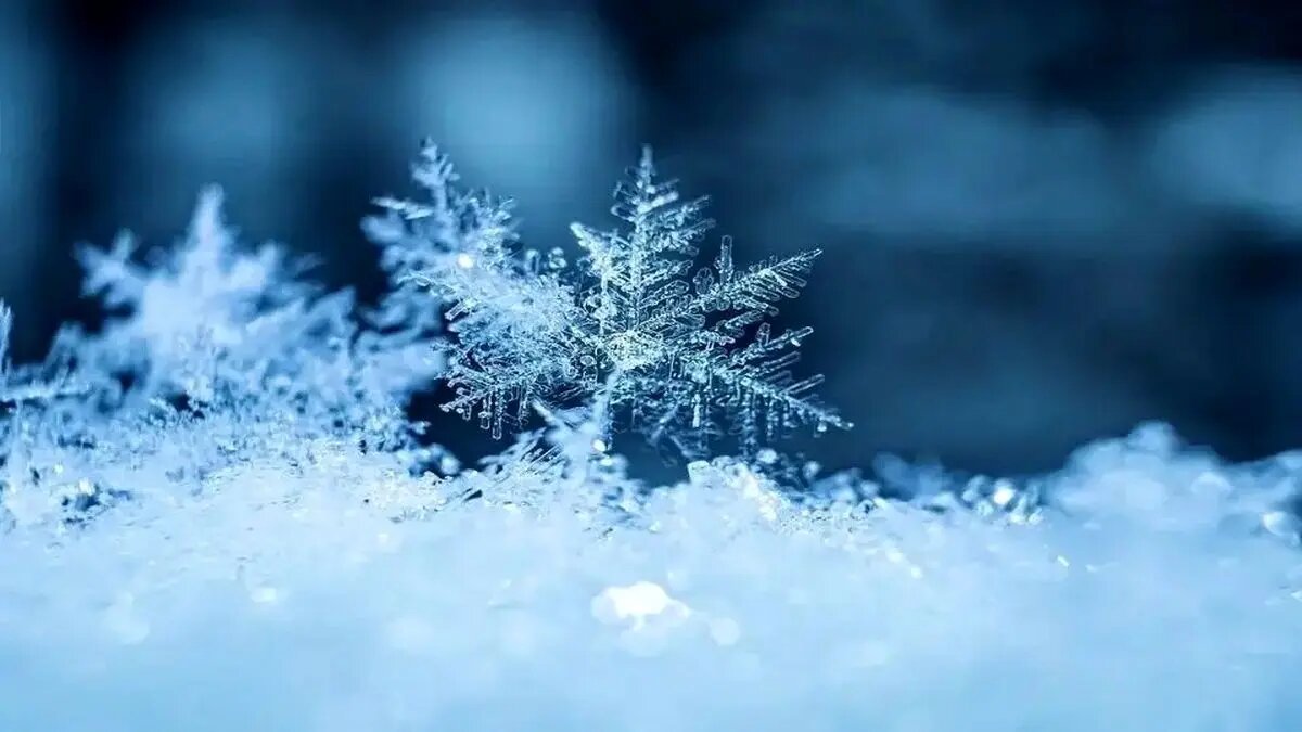 بارش برف شمال تهران را سفید پوش کرد + فیلم