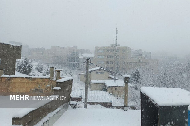 دماوند سفیدپوش شد؛ بارش برف چهره زمستانی به شمال شرق تهران داد