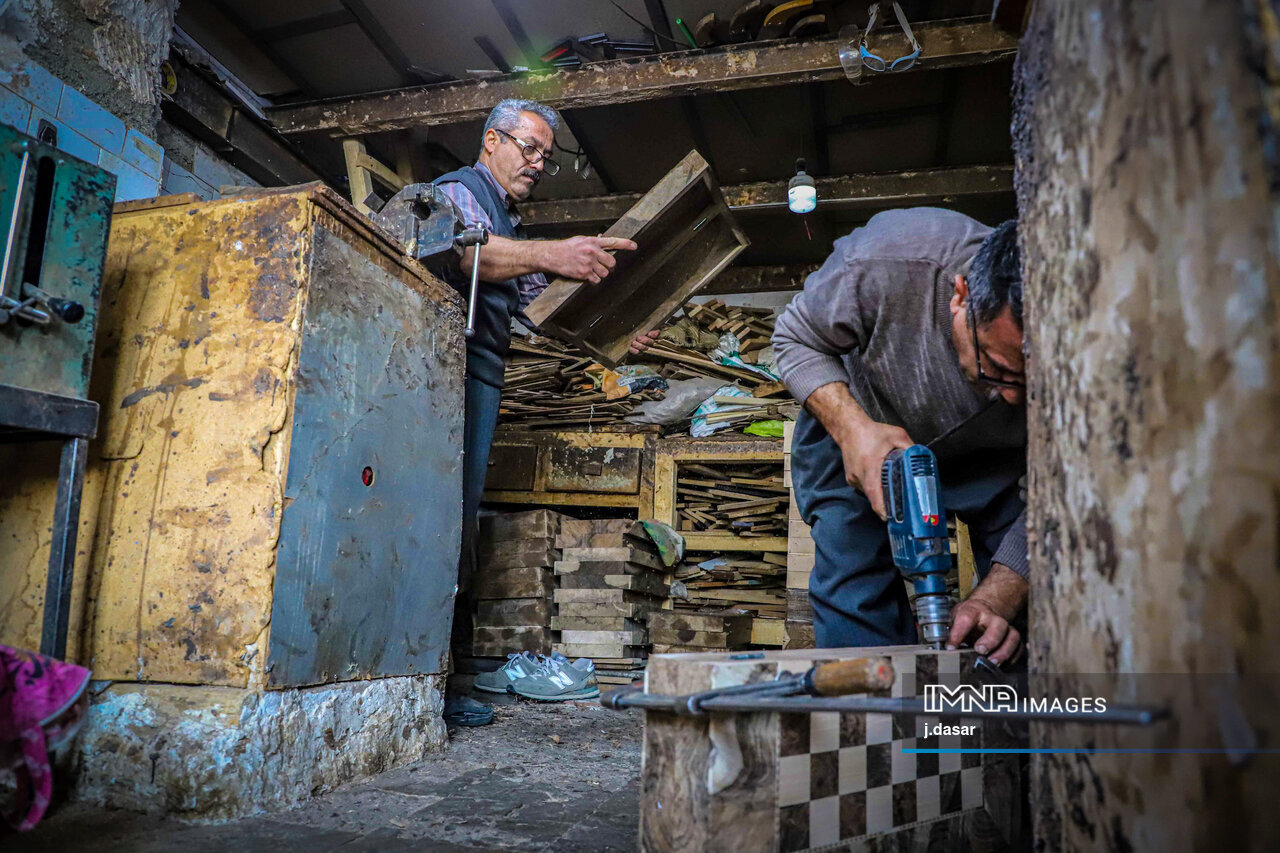 منبت‌کاری کردستان؛ از دل چوب تا شهرت جهانی
