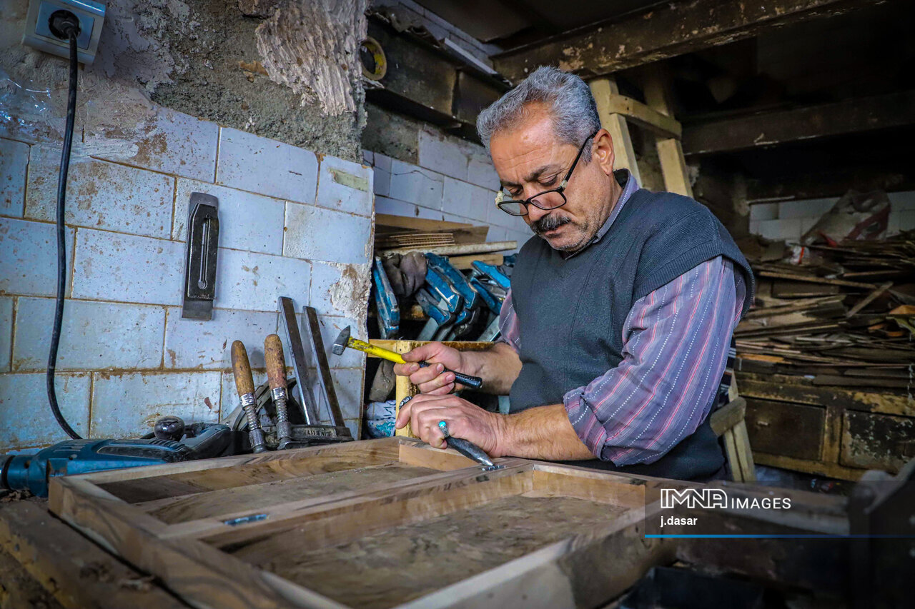 منبت‌کاری کردستان؛ از دل چوب تا شهرت جهانی