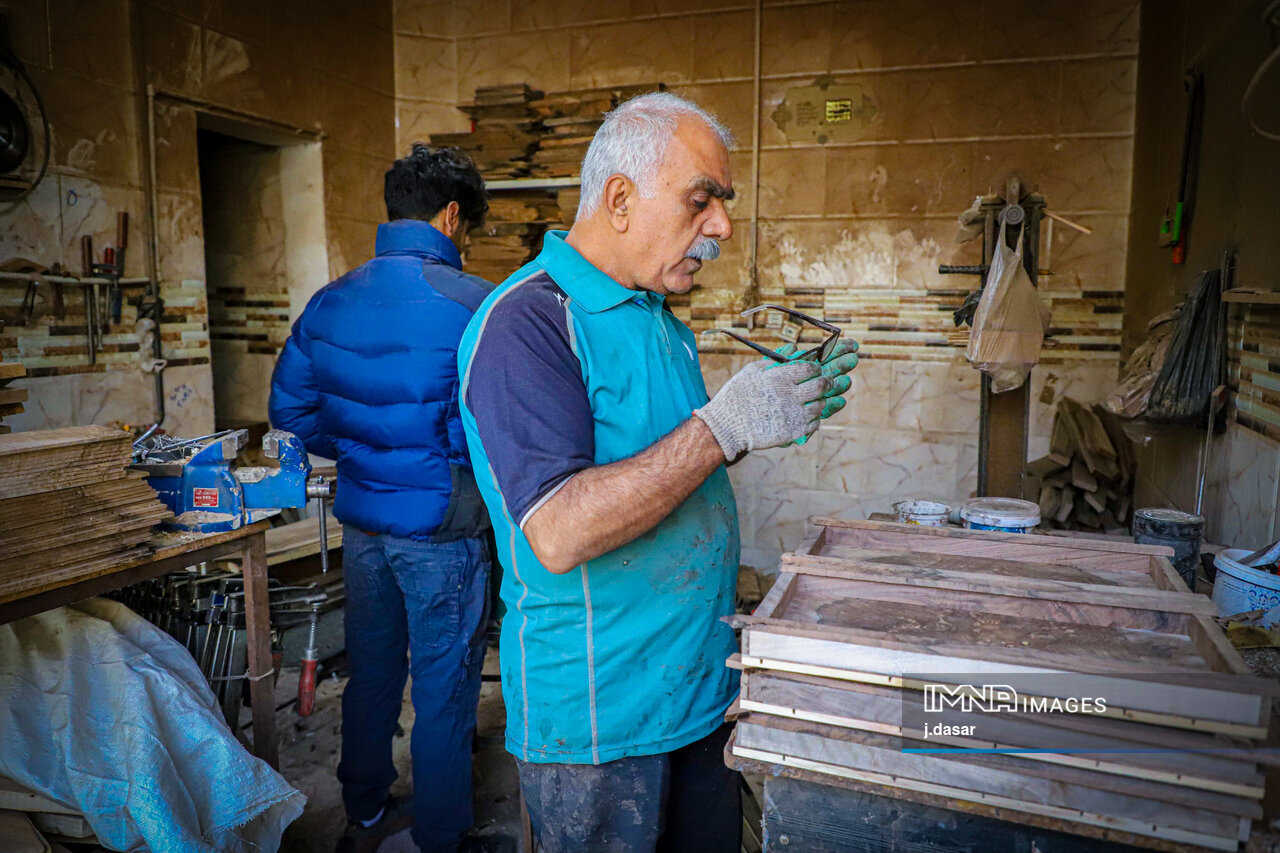 منبت‌کاری کردستان؛ از دل چوب تا شهرت جهانی