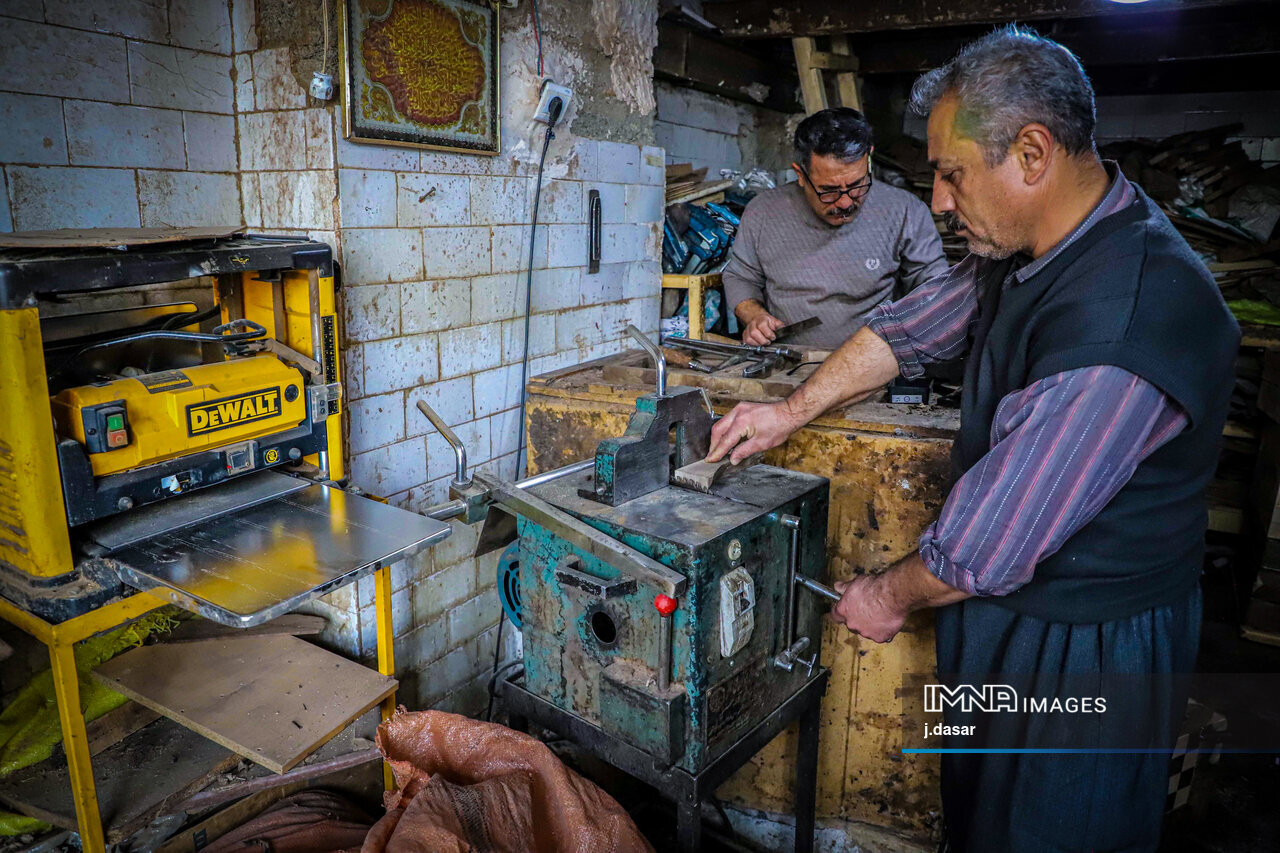 منبت‌کاری کردستان؛ از دل چوب تا شهرت جهانی