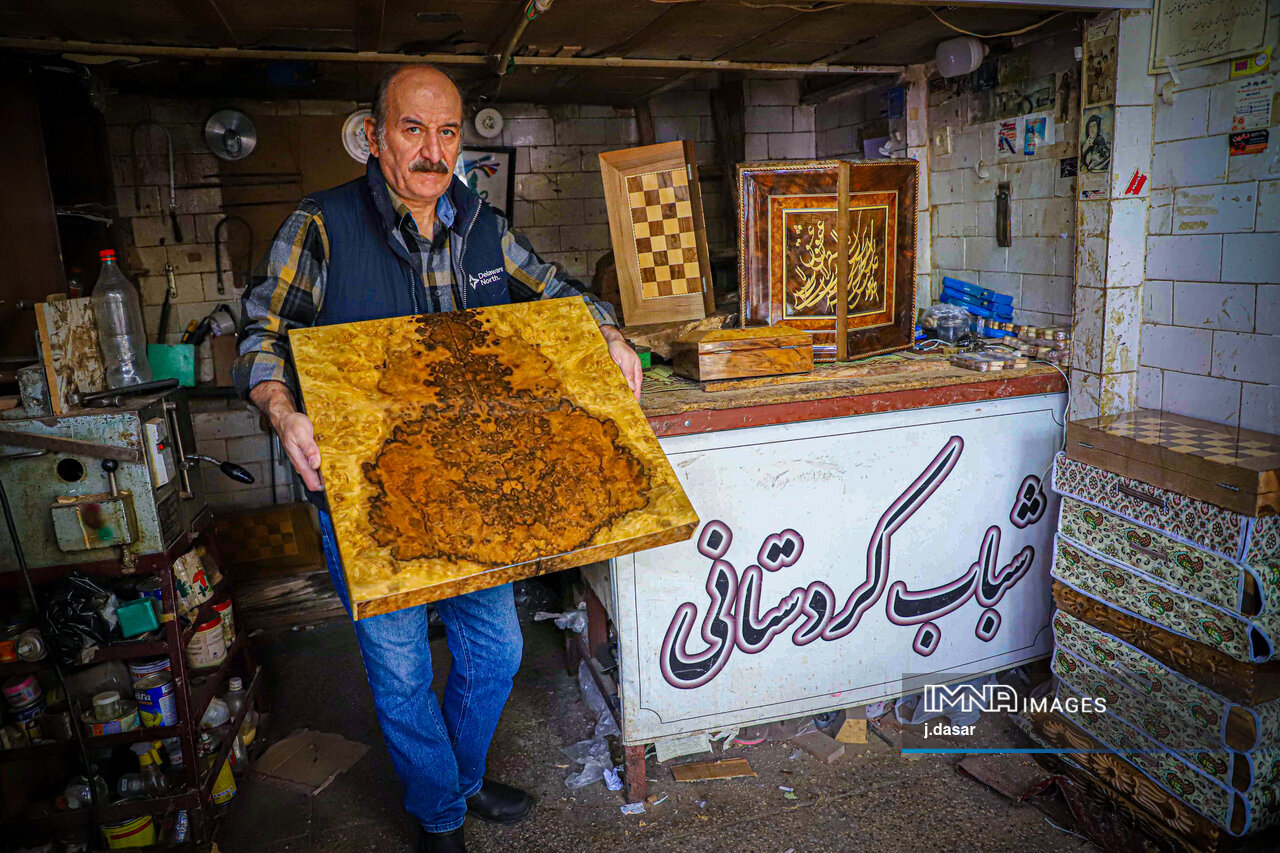 منبت‌کاری کردستان؛ از دل چوب تا شهرت جهانی