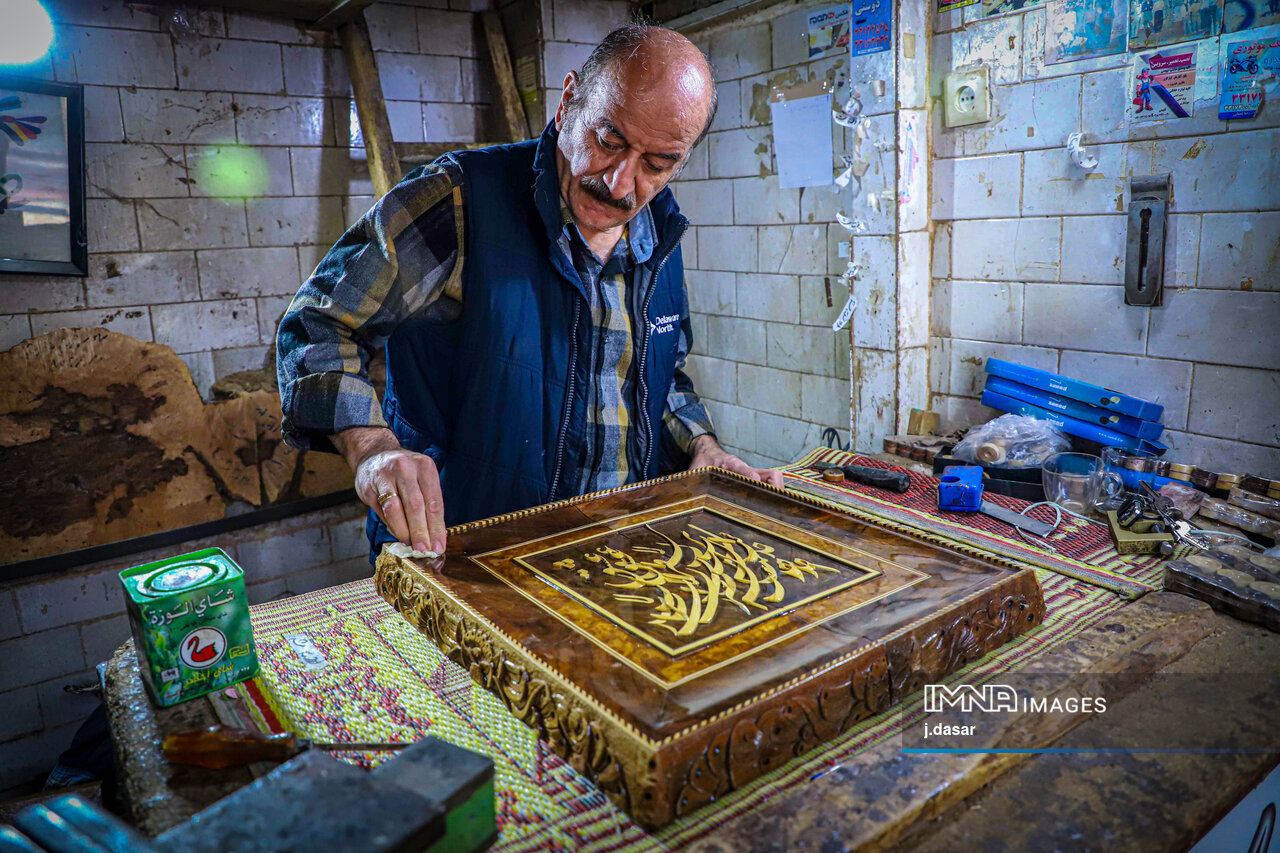 منبت‌کاری کردستان؛ از دل چوب تا شهرت جهانی