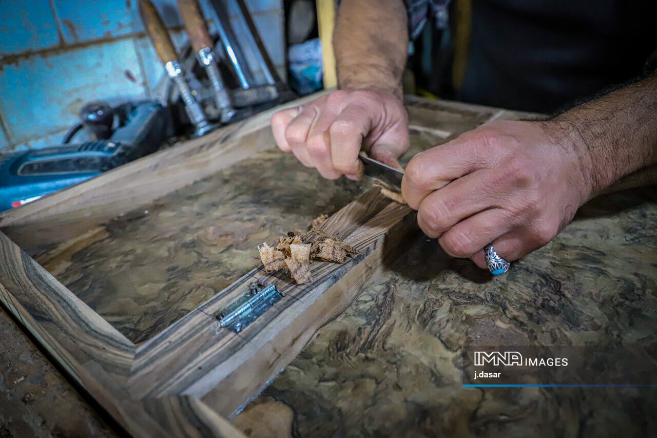 منبت‌کاری کردستان؛ از دل چوب تا شهرت جهانی