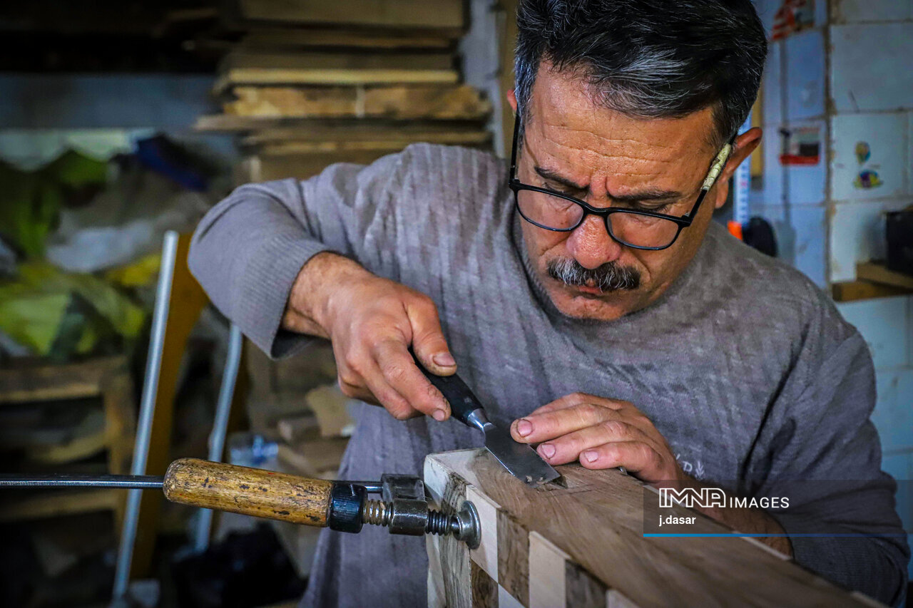 منبت‌کاری کردستان؛ از دل چوب تا شهرت جهانی