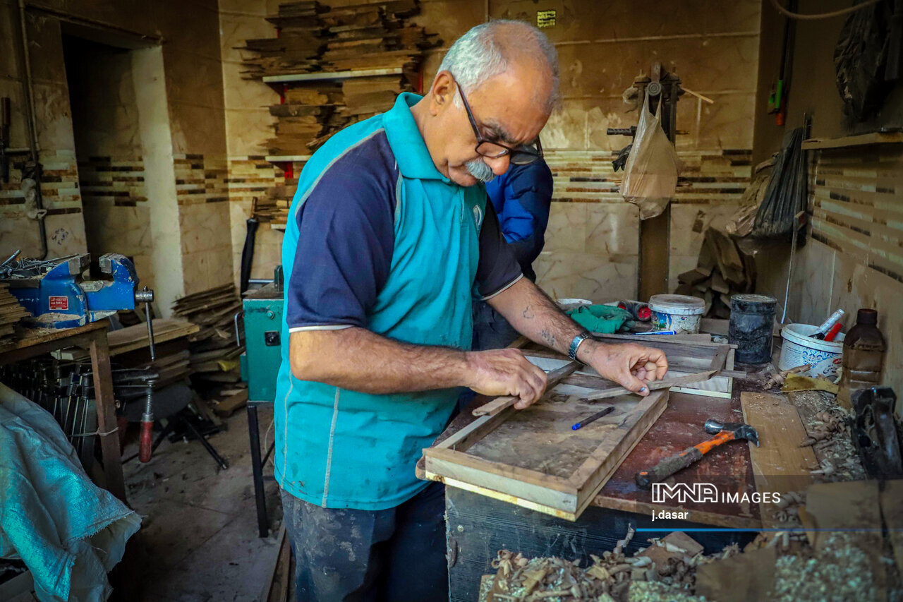 منبت‌کاری کردستان؛ از دل چوب تا شهرت جهانی