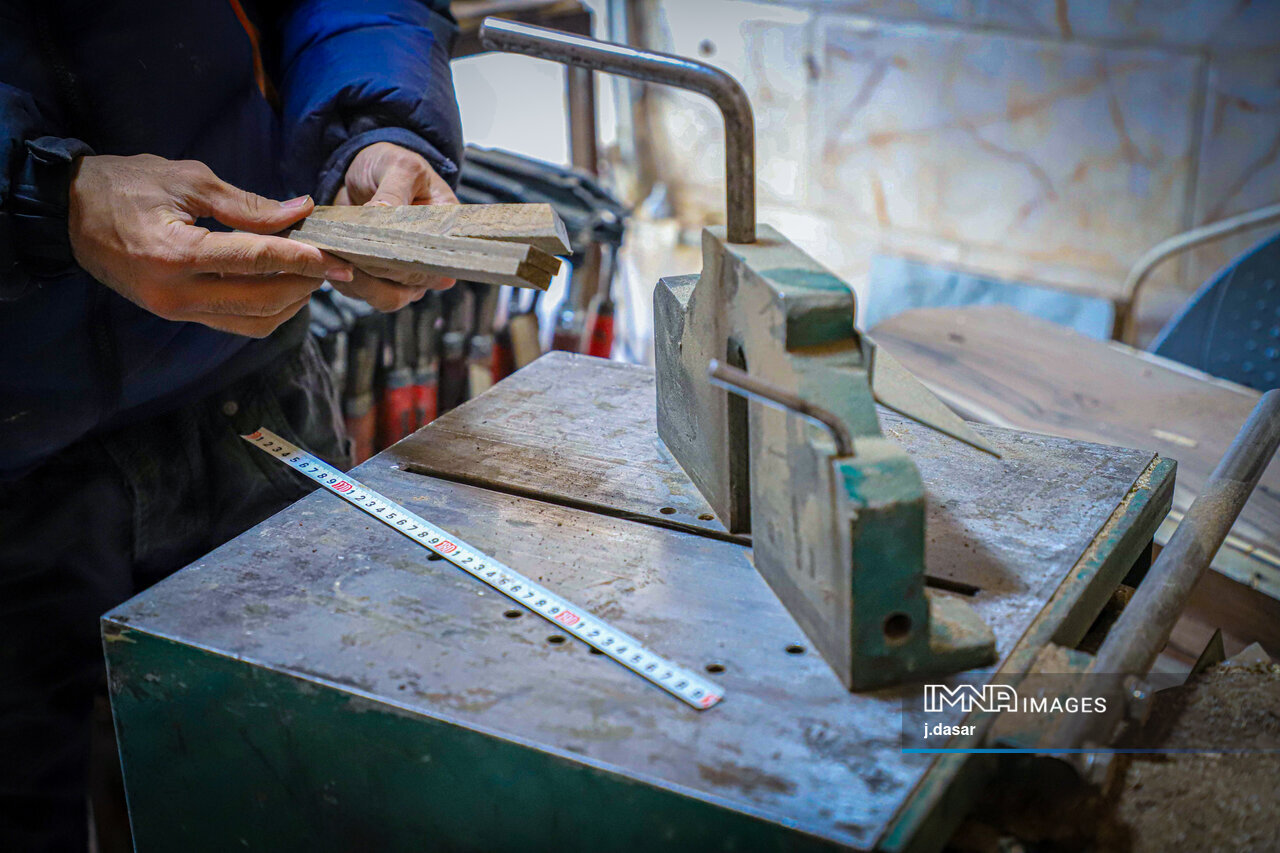 منبت‌کاری کردستان؛ از دل چوب تا شهرت جهانی