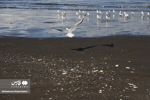 حال و هوای زمستانی خزر