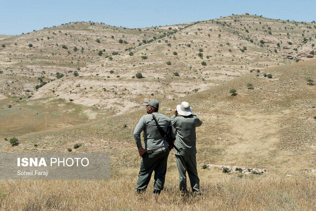 دستگیری شکارچیان خارجی متخلف در دشت اهواز