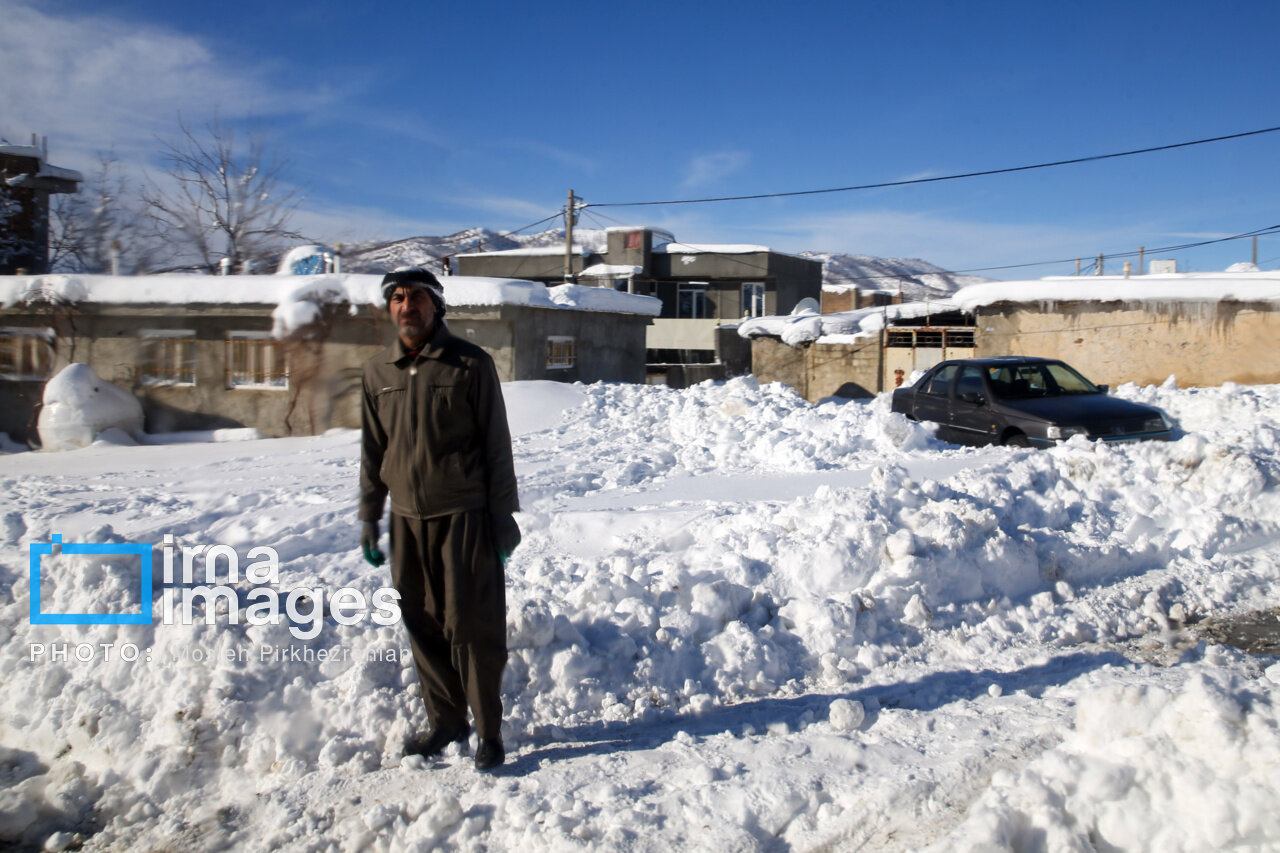 عکس/ بانه پس از بارش سنگین برف