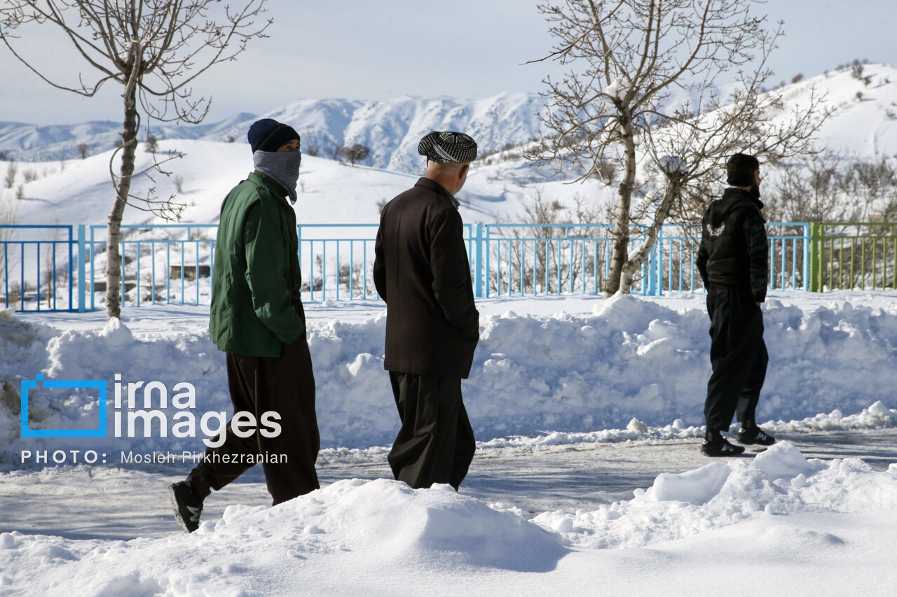 عکس/ بانه پس از بارش سنگین برف