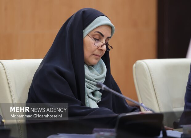 سرپرست جدید صندوق ملی مسکن منصوب شد