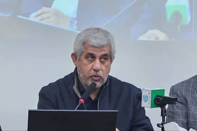 سعیدی: مسیر توسعه و اشتغال‌زایی در جنوب کرمان هموار شده است