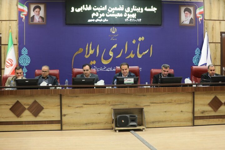 ۳۴۰۰ فروشگاه ایلام برای اجرای طرح کمک معیشتی آمادگی دارند