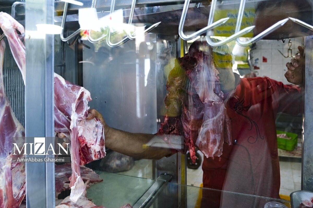 قیمت انواع گوشت گوساله و گوسفندی وارداتی و آزاد داخلی اعلام شد