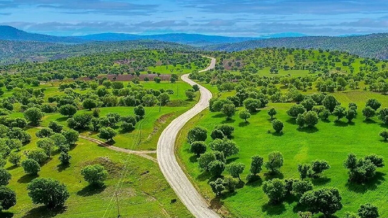جنگلهای لرستان بیدفاع ماندهاند؛ استانی با بیشترین جنگل زاگرس، اما کمترین توان حفاظتی