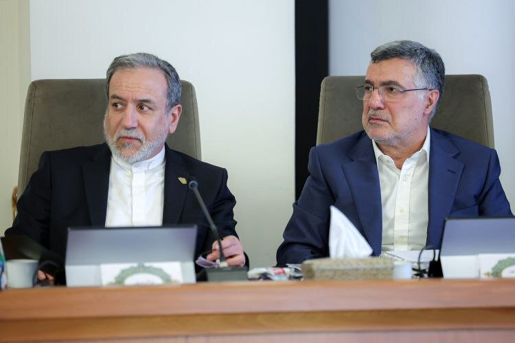 عکس/ جلسه هیئت دولت
