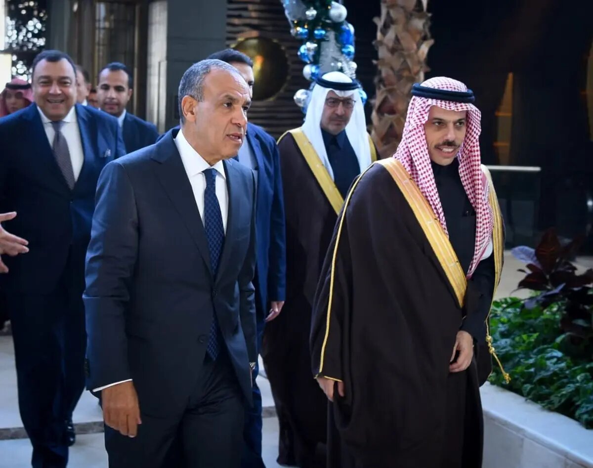 دیدار و گفتوگوی وزاری خارجه مصر و عربستان