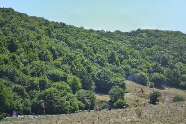 آتش، تبر، فرسایش؛ سهضلع تهدیدکننده جنگلهای زاگرس