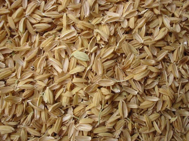 کشف ۲ محموله شلتوک قاچاق در ایذه