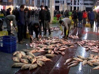 خمام؛ نگینی سرسبز با قدمتی دیرینه در دل جنگل‌های هیرکانی