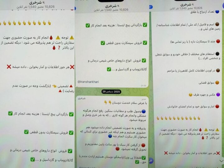 فعالیت شرخر مجازی؛ عواقب وصول مطالبات به هر قیمت