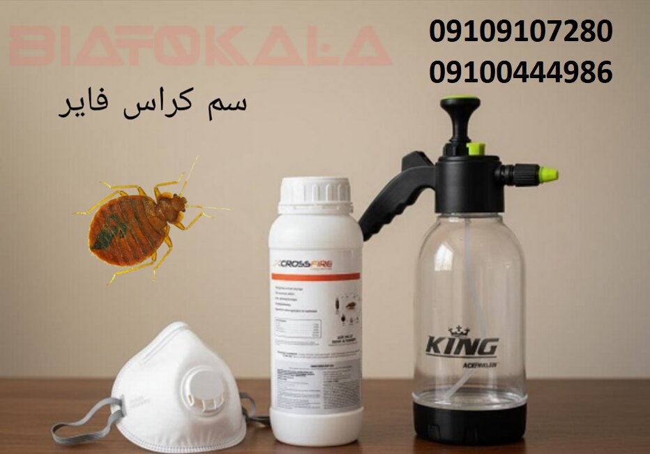 ساس تختخوابی و چند روش قطعی برای نابودی آن