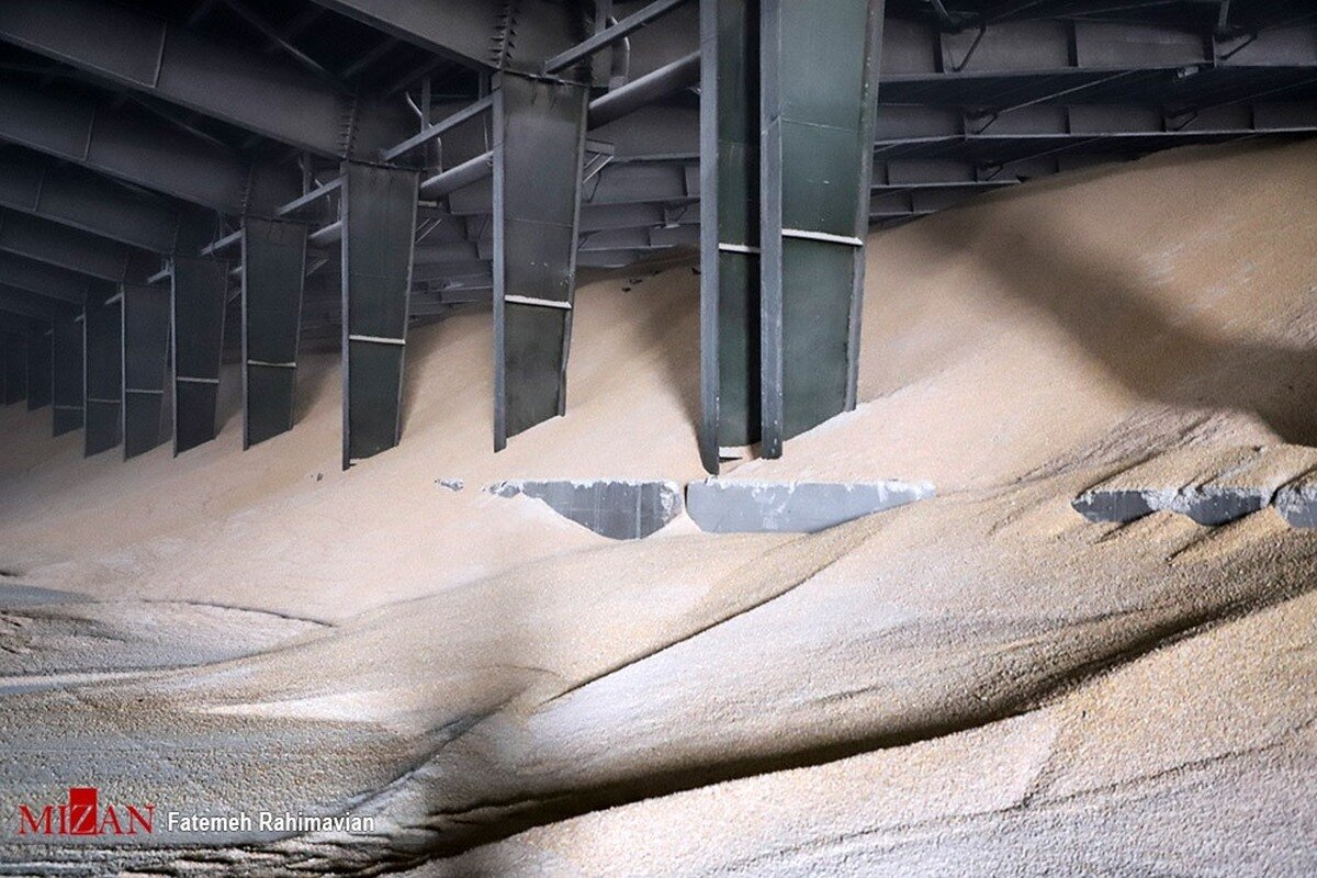 قیمت توافقی سویا در کنار تداوم عرضه در سامانه بازارگاه