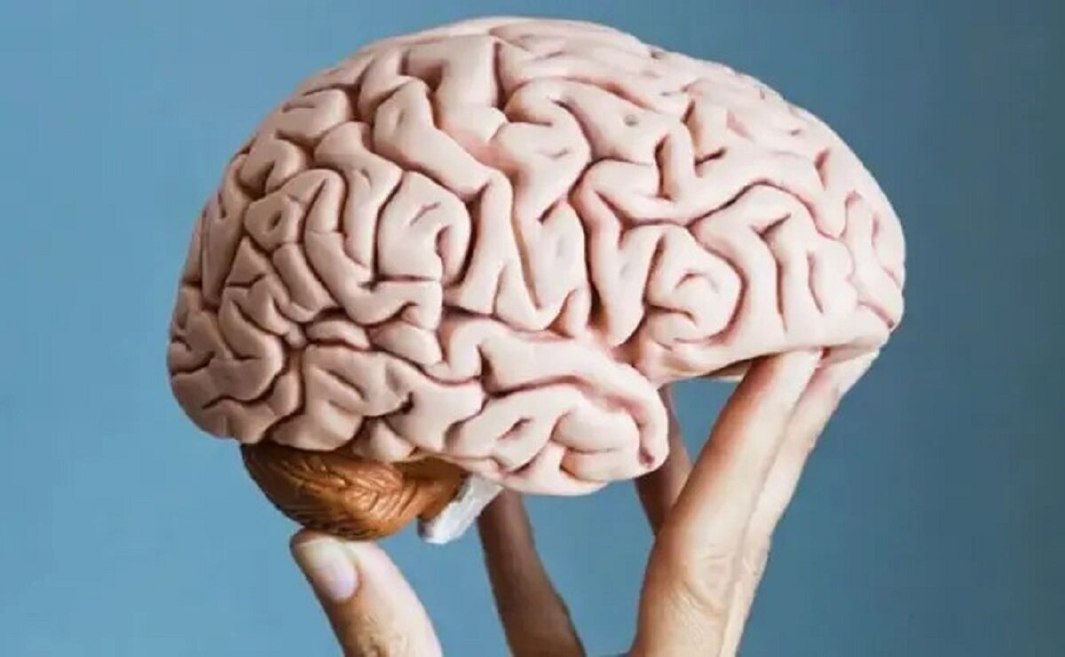 یک توصیه برای جوان نگه داشتن مغز