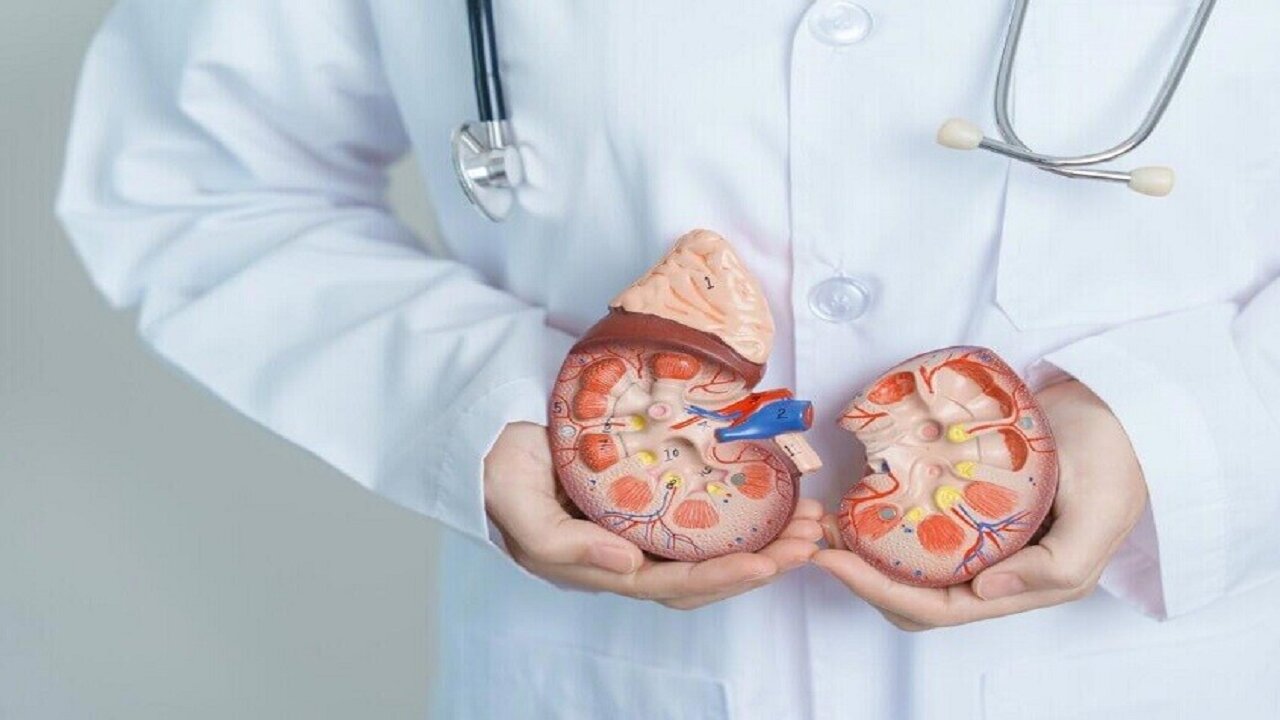 چرا بیماران مبتلا به بیماری پیشرفته کلیه مشکلات گوارشی جدی را تجربه میکنند؟